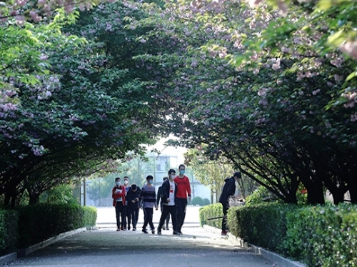 光山二高分校校园景观—樱园话梦