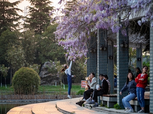 光山二高分校校园景观—青春飞扬